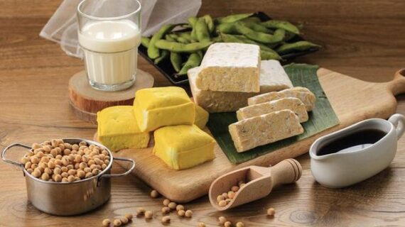 Alternatif Sumber Protein yang Baik untuk Ibu Menyusui