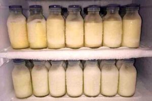 Cara Menyimpan ASI Perah dengan Benar di Freezer