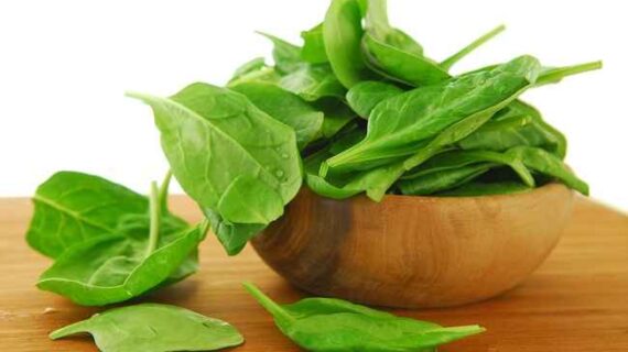Makanan yang Dapat Membantu Meningkatkan Produksi ASI